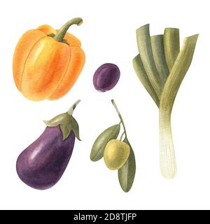 Aquarell Set von frischem Gemüse: Auberginen, Lauch, Paprika, Oliven und Olivenzweig. Helle, isolierte Illustration auf weißem Hintergrund. Stockfoto