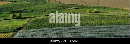 Luftaufnahme des Plastikgewächshauses auf Apfelplantage. Pflanzenanbau in ökologischem Landbau. Stockfoto