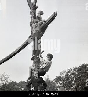 1960-er, historische Schüler, die in einem Londoner Jungen-Internat in einem Freizeitbereich unterwegs waren und einen Baum hochkletterten, wobei zwischen zwei abgeschnittenen Bäumen ein Holzbrett angebracht wurde, um einen Kletterrahmen zu bilden. Ob es für die Jungen „sicher“ war, darauf zu spielen, nun ja, Gesundheits- und Sicherheitsfragen waren in diesem Bereich kein Problem, mit dem Schwerpunkt auf Jungen, die in der Lage sind zu klettern und ihre Energie zu verbrauchen. Stockfoto