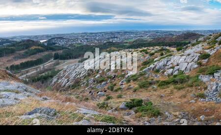 Norwegen Sommer Fjorde mit Blick auf stavanger Stadt und Sommer Cross Country Skipiste und Park Stockfoto