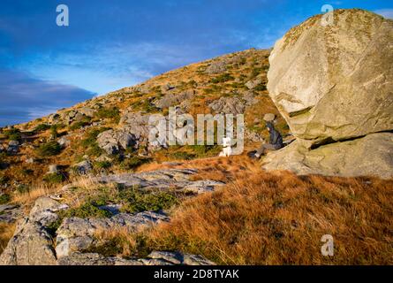 Norwegen Sommer Fjorde mit Blick auf stavanger Stadt und Sommer Cross Country Skipiste und Park Stockfoto