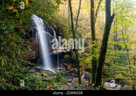 Slick Rock fällt im Herbst - Pisgah National Forest, Brevard, North Carolina, USA Stockfoto