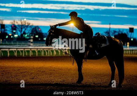 Lexington, KY, USA. November 2020. 1. November 2020: Szenen aus dem morgendlichen Training, während sich die Pferde am 1. November 2020 auf der Keeneland Racetrack in Lexington, Kentucky, auf den 2020 Cup BreedersÕ vorbereiten. Scott Serio/Eclipse Sportswire/Breeders Cup. Kredit: csm/Alamy Live Nachrichten Stockfoto