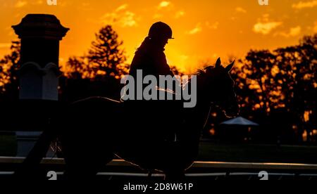 Lexington, KY, USA. November 2020. 1. November 2020: Szenen aus dem morgendlichen Training, während sich die Pferde am 1. November 2020 auf der Keeneland Racetrack in Lexington, Kentucky, auf den 2020 Cup BreedersÕ vorbereiten. Scott Serio/Eclipse Sportswire/Breeders Cup. Kredit: csm/Alamy Live Nachrichten Stockfoto