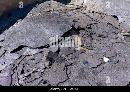 Abwäscherei Dachfilz im Behälter. Recycling, Müll. Stockfoto