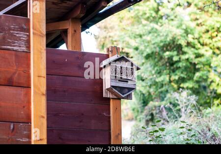 Ein kleines Insektenhotel, das an der Holzwand befestigt ist Eine Gartenhütte Stockfoto