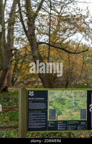 Ein Schild an einem Treuhandwald in norfolk Stockfoto