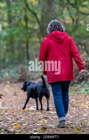 Eine ältere Dame, die an einem Herbsttag mit ihrem Hund im Wald herumläuft und eine rote Außenjacke trägt. Stockfoto