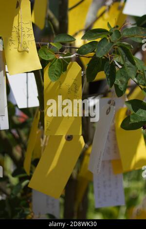 Ein Promise Tree in Hampton Court Blumenschau mit Versprechungen in Bezug auf die natürliche Welt platziert. Stockfoto