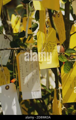 Ein Promise Tree in Hampton Court Blumenschau mit Versprechungen in Bezug auf die natürliche Welt platziert. Stockfoto