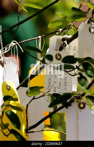 Ein Promise Tree in Hampton Court Blumenschau mit Versprechungen in Bezug auf die natürliche Welt platziert. Stockfoto