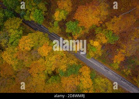Visegrad, Ungarn - Luftaufnahme der Asphaltstraße durch den Wald, Herbststimmung, warme Herbstfarben. Grüne, rot gelbe und orange gefärbte Bäume. Stockfoto