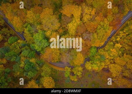 Visegrad, Ungarn - Luftaufnahme der kurvigen Straße durch den Wald, Herbststimmung, warme Herbstfarben. Grüne, rot gelbe und orange gefärbte Bäume. Stockfoto