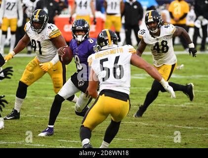 Baltimore, Usa. November 2020. Baltimore Ravens Quarterback Lamar Jackson (8) kriegt gegen die Pittsburgh Steelers im vierten Quartal im M&T Banks Stadium in Baltimore, Maryland am Sonntag, 1. November 2020. Foto von Kevin Dietsch/UPI Kredit: UPI/Alamy Live News Stockfoto