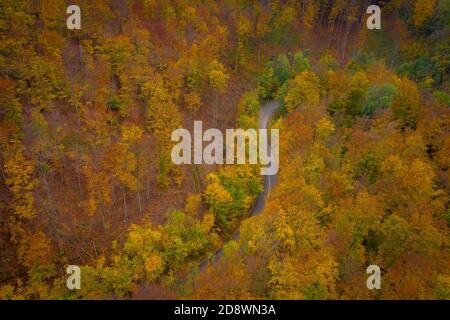 Visegrad, Ungarn - Luftaufnahme der kurvigen Straße durch den Wald, Herbststimmung, warme Herbstfarben. Grüne, rot gelbe und orange gefärbte Bäume. Stockfoto