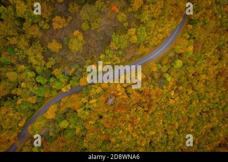 Visegrad, Ungarn - Luftaufnahme der kurvigen Straße durch den Wald, Herbststimmung, warme Herbstfarben. Grüne, rot gelbe und orange gefärbte Bäume. Stockfoto