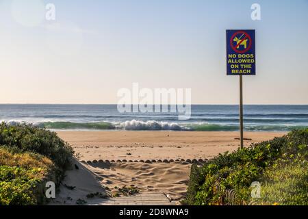 DURBAN, SÜDAFRIKA - MAI 28 2020 Allgemeine Blick auf den Strand von Durban Promenade am Morgen während der täglichen Trainingszeiten von 6-9 Uhr während der cou Stockfoto