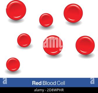 RBCs oder rote Blutkörperchen in weißem Hintergrund Vektor-Design Stock Vektor