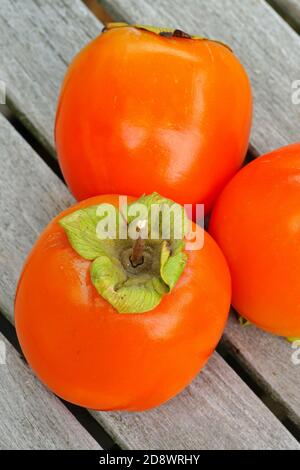 Drei Hachiya Orange Kaki Früchte Stockfoto