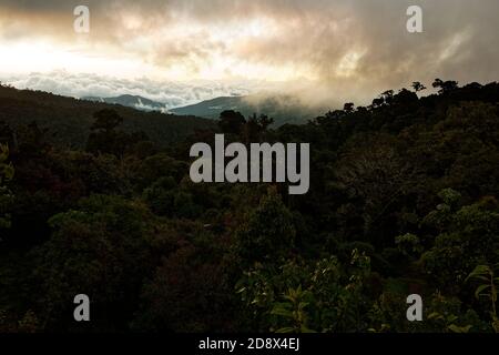 Mittelamerika bewölkt Wald - Costa Rica Landschaft in Los Quetzales, schöne Aussicht zu urzeitlichen Grün bewölkt Wald und blauer Himmel mit Sonne. Stockfoto