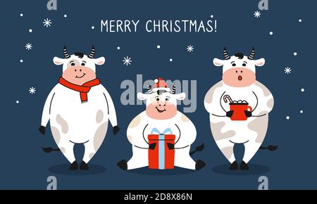Gruß Weihnachtskarte, Stier mit Geschenk. Neujahr Symbol Cartoon Kuh, Büffel oder Kalb. Frohe Weihnachten und Frohes neues Jahr. Handgezeichneter Tier Charakter Urlaub Vektor Stock Vektor