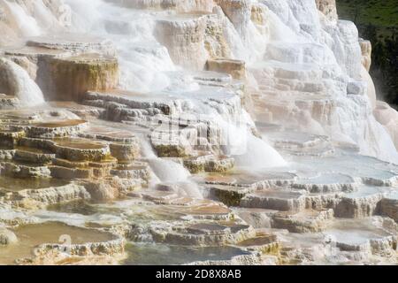 Mammoth Hot Springs Terrace, Yellowstone National Park and Preserve, USA. Stockfoto