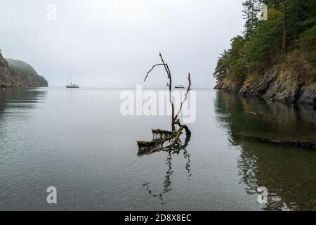 Ein Stück Treibholz und zwei verankerte Boote in Watmough Bay auf Lopez Island, Washington, USA Stockfoto