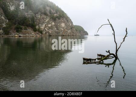 Segelboot vor den nebligen Klippen von Watmough Bay auf Lopez Island, Washington, USA verankert Stockfoto