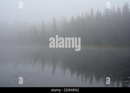 Ein Landschaftsbild von Maxwell See unter einem frühen Morgen Nebel in Hinton Alberta Kanada Stockfoto