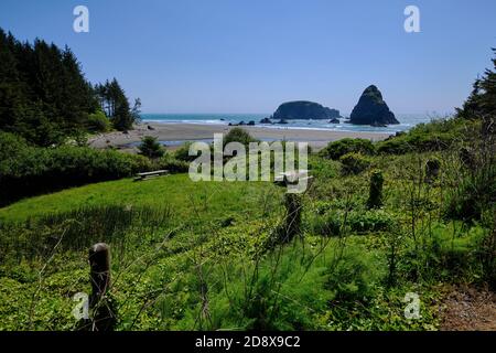 Picknickbereich entlang des Samuel H. Boardman State Scenic Corridor am Whaleshead Beach... ein großer Sandstrand und beeindruckende Meeresstapel. Stockfoto