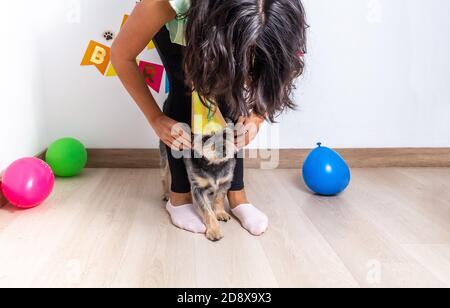 Mädchen, deren Gesicht ist nicht erkennbar Platzierung ihres kleinen Hundes Geburtstag hut zu werfen sie eine dekorative Partei Stockfoto