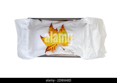 Geöffnete Schuhschachtel mit zerknittertem Geschenkpapier und gelbem Herbst Lamellenanschlagansicht isoliert auf Weiß Stockfoto