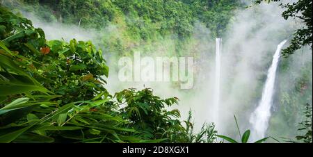 Wunderbarer TAD Fane Wasserfall im Morgennebel, magische Zwillingsfälle in der Regenzeit, Touristenattraktionen in Süd-Laos. Stockfoto