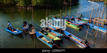 Bunte traditionelle asiatische Holzboote an einem lokalen Hafen in einem Mangrovenwald. Ranong, Thailand. Weitwinkelansicht. Panoramaansicht. Stockfoto