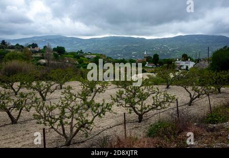Moslemisches Dorf im gebirgigen Teil der Insel Zypern im frühen Frühjahr. Stockfoto