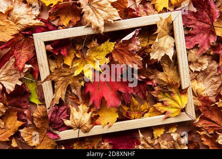 Herbstblatt Komposition mit Bilderrahmen. Natürlicher Hintergrund Stockfoto