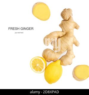 Kreatives Layout aus frischer Ingwerwurzel mit geschnittenen und Zitronenfrüchten isoliert auf weißem Hintergrund. Draufsicht. Flach liegend. Stockfoto