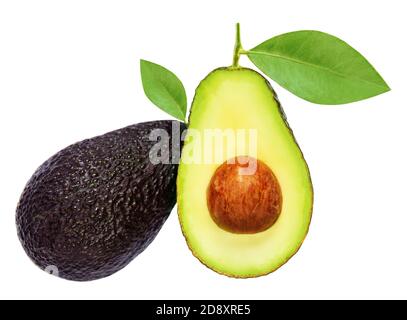 Avocado isoliert auf weißem Hintergrund. Avocado Haas ganz und in der Hälfte Nahaufnahme geschnitten Stockfoto