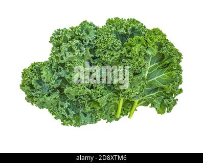 Kale Blatt Salat Gemüse isoliert auf weißem Hintergrund. Kreatives Layout aus Grünkohl-Nahaufnahme. Flach liegend. Food-Konzept. Stockfoto