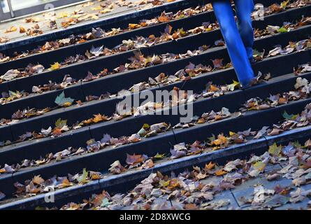 02. November 2020, Hessen, Frankfurt/Main: Früh am Morgen geht eine Frau die Treppe der Bergius-Schule hinunter, wo sich herbstliche Blätter versammelt haben. Foto: Arne Dedert/dpa Stockfoto