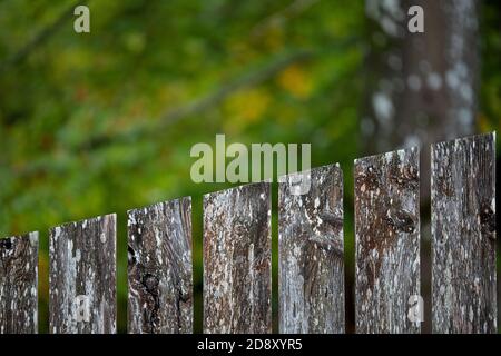 Geneigter Zaun aus alten Holzlatten Stockfoto