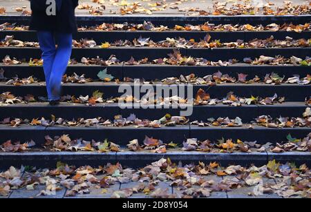 02. November 2020, Hessen, Frankfurt/Main: Früh am Morgen geht eine Frau die Treppe der Bergius-Schule hinauf, wo sich herbstliche Blätter versammelt haben. Foto: Arne Dedert/dpa Stockfoto