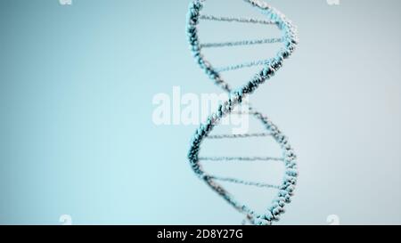 DNA, Deoxyribonukleinsäure, Struktur des Doppelhelix-Moleküls, Polynucleotidketten, Atome, Stränge der menschlichen genetischen Struktur 3D-Modelldarstellung Stockfoto