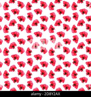 Exotische Hibiskusblüte. Nahtlose hellen tropischen Hintergrund mit einem Paradies exotische Hibiskusblüte. Stockfoto