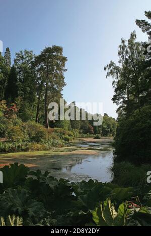 The Engine Pond at Leonardslee Gardens, West Sussex, England, UK - ‘The Finest Woodland Garden in England’ Stockfoto