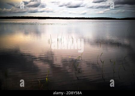 Himmelsspiegel. Unscharfe, verschwommene Herbstlandschaft mit Blick auf den See mit Spiegelung am Himmel und Vögeln Stockfoto