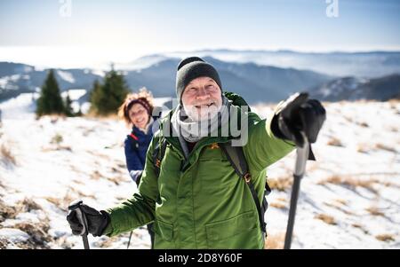 Ältere Wanderpaare mit nordic Walking Stöcken in schneebedeckter Winternatur. Stockfoto