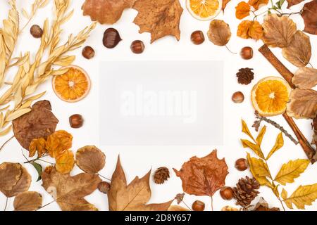 Ein herbstlicher Hintergrund mit trockenen Blättern mit Kopierraum Stockfoto