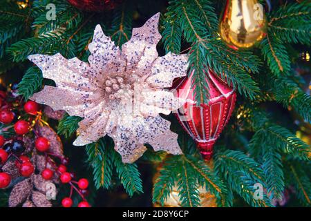 Weiße Weihnachtssterne Blume und Mistel hängen als Dekoration auf grünen Weihnachtsbaum, Nahaufnahme Stockfoto