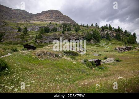 Zermatt, Schweiz. Weg zum Matterhorn in den Schweizer Alpen, grüner Kiefernwald und Dorfhäuser Panorama Stockfoto